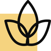 Espacios para eventos